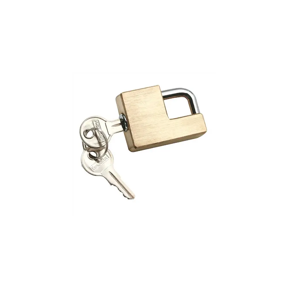 Towpower Coupler Lock w/ 2 Keys - REE7005300